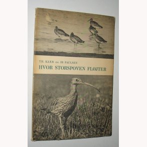 Hvor Storspoven fljter