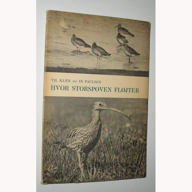 Hvor Storspoven fljter