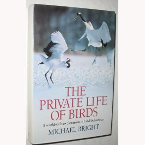 The Private Life of Birds