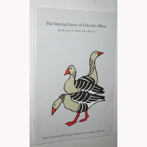 The Greylag Geese of Utterslev Mose