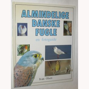 Almindelige danske fugle - en fotoguide
