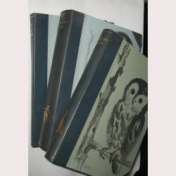 Danske fugle Bind l+ll + fuglestemmer