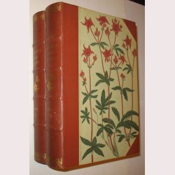 Danmarks vilde planter