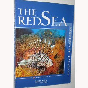 The Red Sea Underwater Paradise