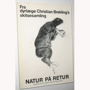 Natur p retur - skitsesamling