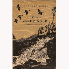 Evige vandringer