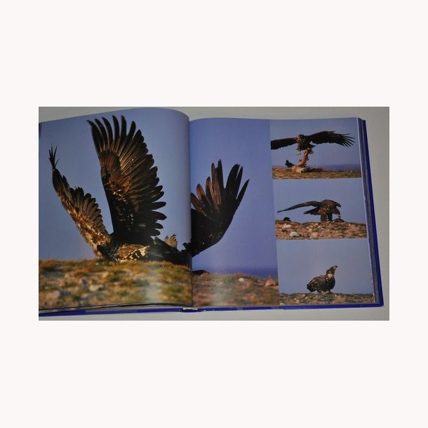 Kr&oacute;lestwo dzikich Gesi