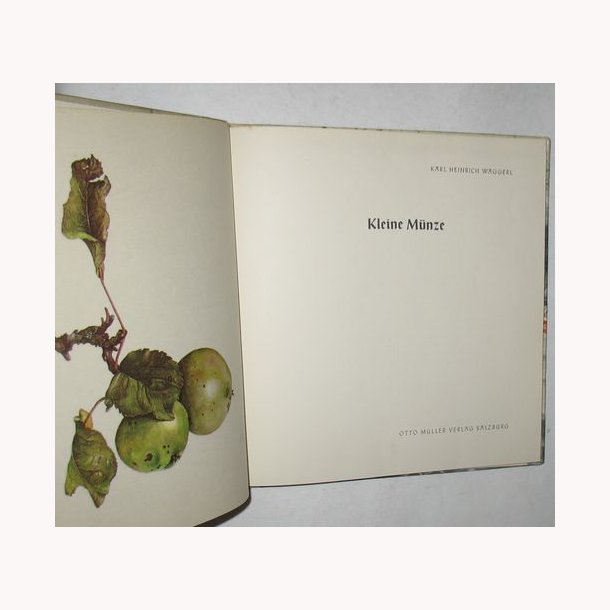 Kleine M&uuml;nze