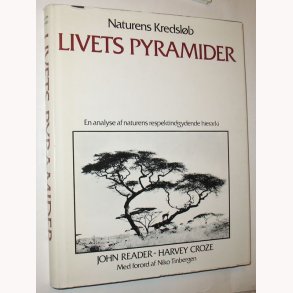 Naturens kredslb - Livets Pyramider