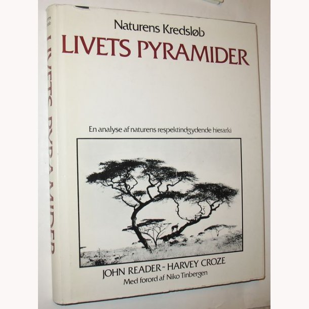 Naturens kredslb - Livets Pyramider