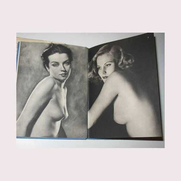 My Hundred best Studies