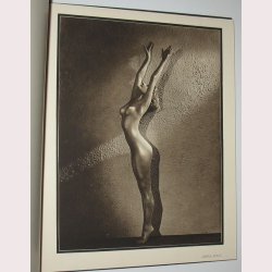 Beauty&acute;s Daughters