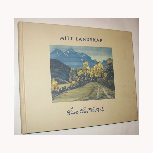 Mitt Landskab (trsnit i farver)