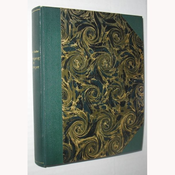 Salmesprog og salmetyper