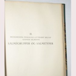 Salmesprog og salmetyper