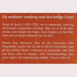 Visioner af og om broder Frans