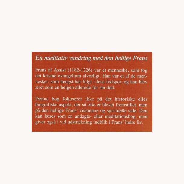 Visioner af og om broder Frans