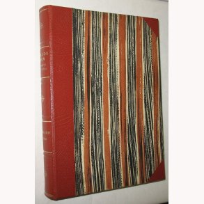 Kirke og sogn i fortid og nutid - Viborg Stift