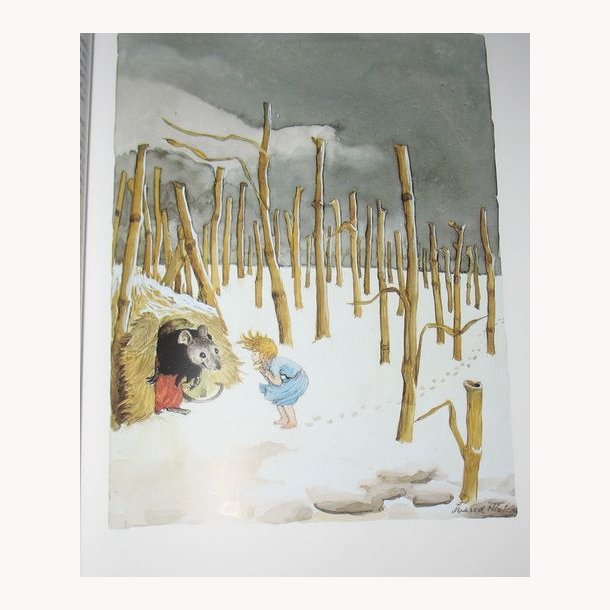 Brnenes H.C. Andersen