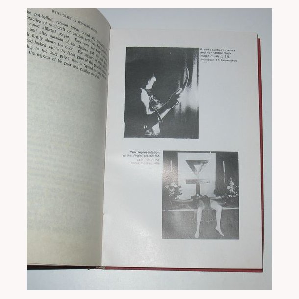 Witchcraft in Western India