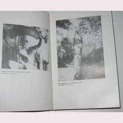 Witchcraft in Western India