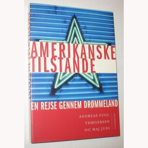 Amerikanske tilstande
