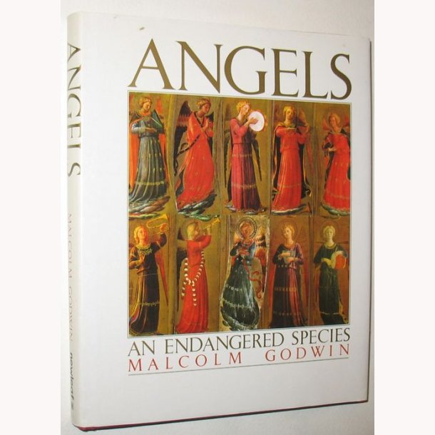 Angels - An Endangered Species