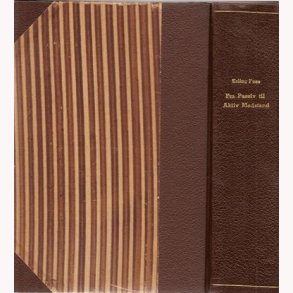 Fra passiv til aktiv modstand