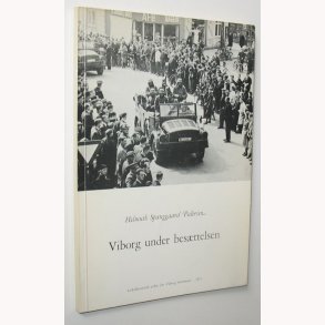 Viborg under besttelsen