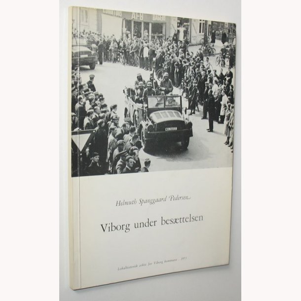 Viborg under besttelsen