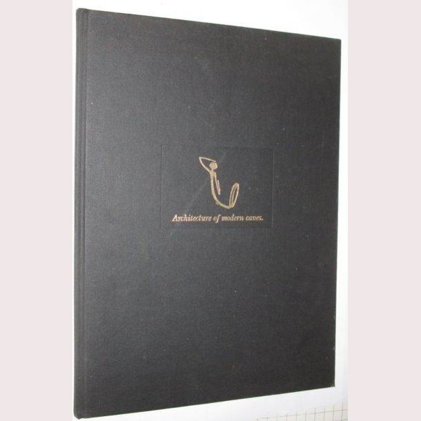 Architecture of modern caves.