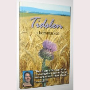 Tidslen - i kornmarken