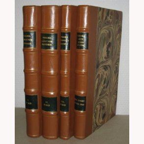 Viborg kbstads historie + Viborg Amts stednavne