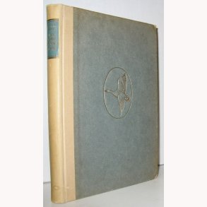 Vildgaasens krlighedshistorie