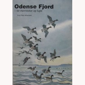 Odens Fjord - for mennesker og fugle