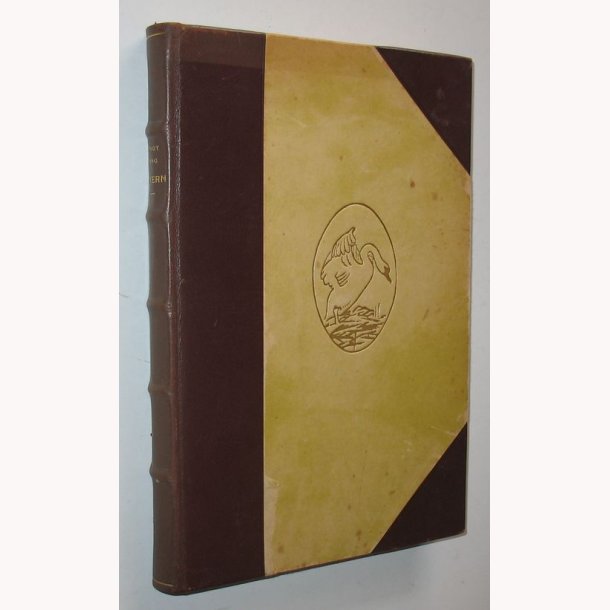 Tkeren - de vilde svaners s