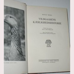 Vildgaasens Krlighedshistorie