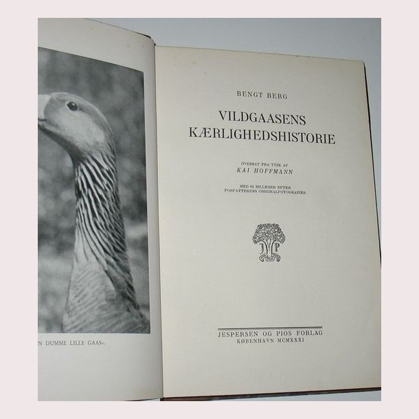 Vildgaasens Krlighedshistorie