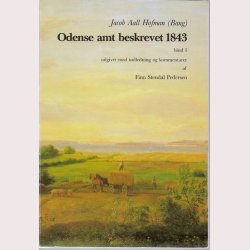 Odense Amt beskrevet 1843 bind l + ll