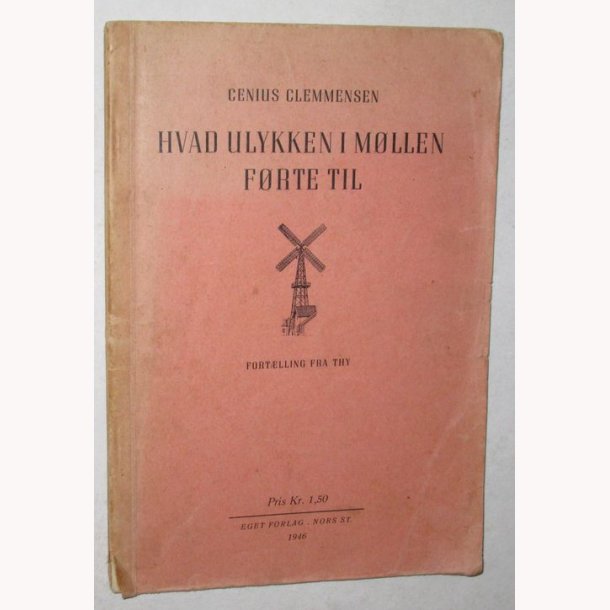 Hvad ulykken i mllen frte til