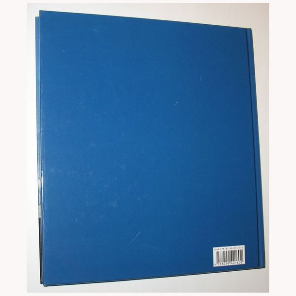 Byens lys - og ildsjle 8