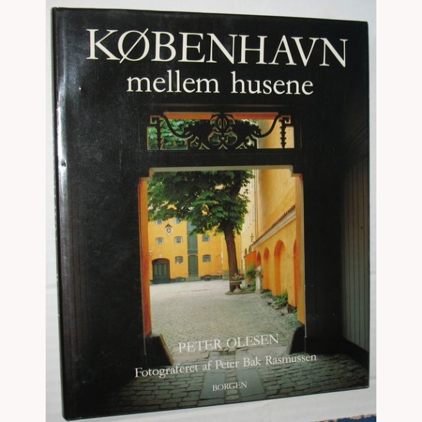 Kbenhavn mellem husene
