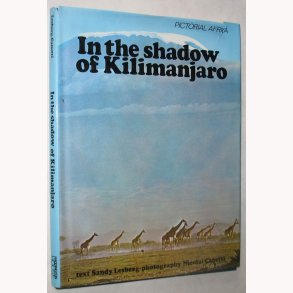 In the shadow of Kilimanjaro