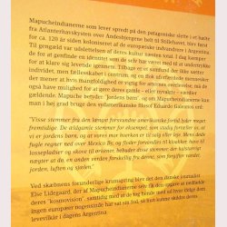 Billen i sandet - indianerstemmer fra Patagonien