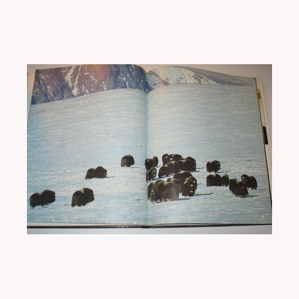 Hvide Horisonter - verdens strste nationalpark