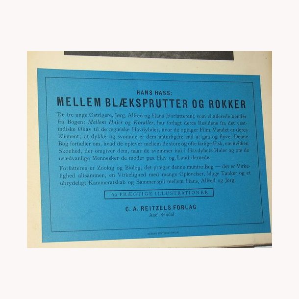 Mellem Blksprutter og rokker