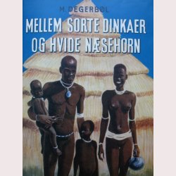 Mellem sorte Dinkaer og hvide nsehorn