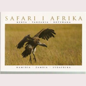Safari i Afrika