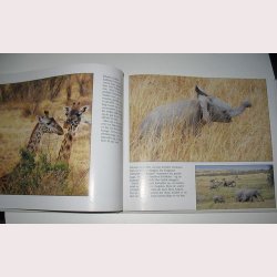 P ballontur i Afrika