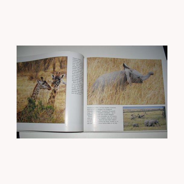 P ballontur i Afrika